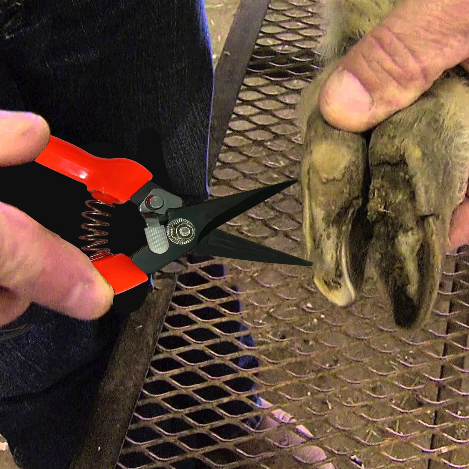 Garden Hand Trowel - 羊の蹄トリマー、低木植物の花剪定鋏、庭用ハサミ、ヤギの蹄トリマー、アルパカ、子羊、豚の爪切り