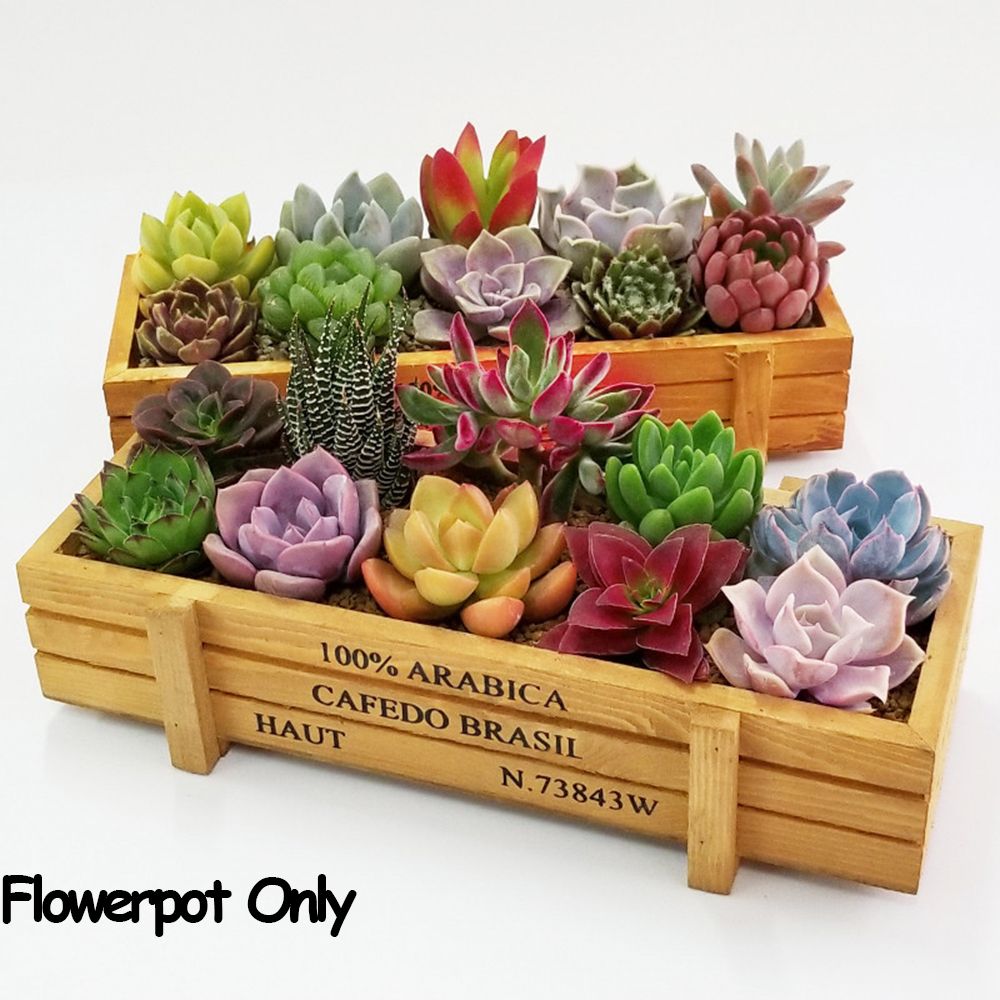 Gardening Tools Vintage - 多肉植物用の長方形の装飾ボックス,ヴィンテージの木箱,植木鉢,庭の装飾,1個