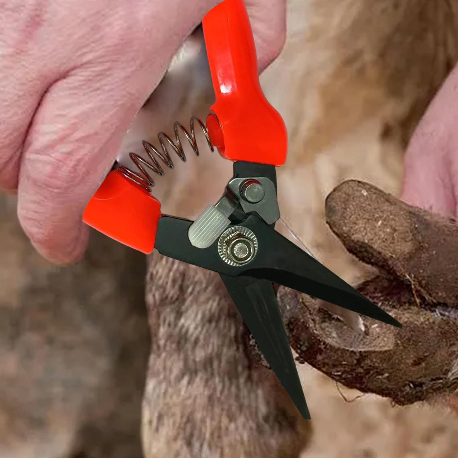羊の蹄トリマー、低木植物の花剪定鋏、庭用ハサミ、ヤギの蹄トリ - Garden Hand Trowel のレビューと価格