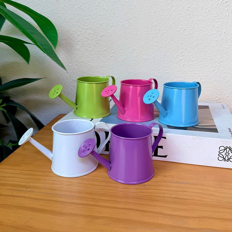 ミニじょうろ金属製ヴィンテージ長注ぎ口小型ポット屋内植物家の - Gardening Tools Vintage のレビューと価格