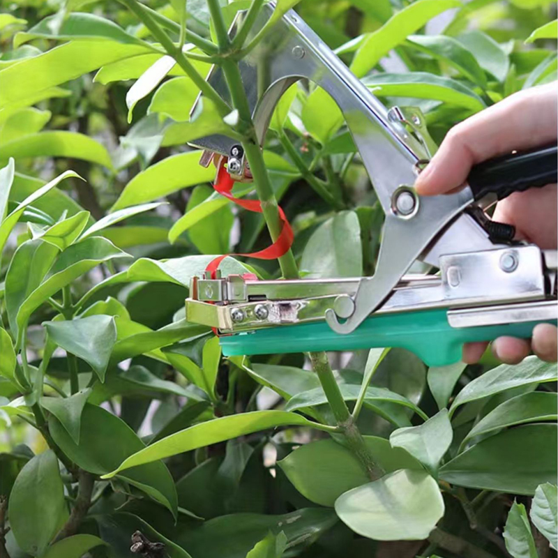 園芸植物の枝結束機、野菜用テープ、家庭菜園の苗や蔓の結束ツー - Gardening Tools Kit For Home Garden のレビューと価格