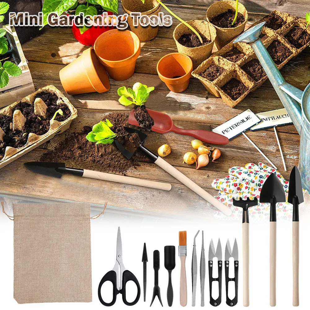 屋内多肉植物ツールセット、黒の鉢植え、サボテンの植物の栽培、 - Gardening Tools Kit For Home Garden のレビューと価格