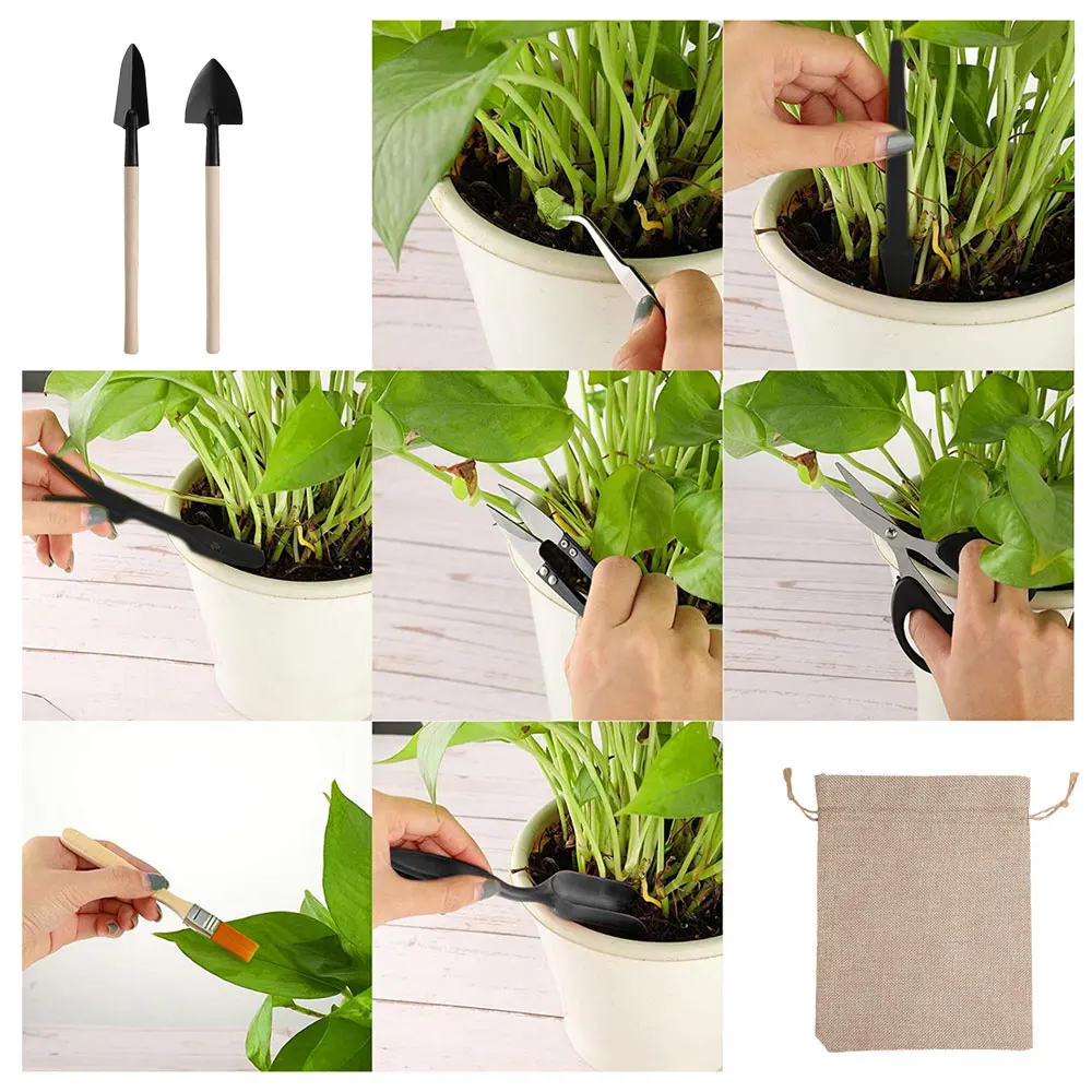 屋内多肉植物ツールセット、黒の鉢植え、サボテンの植物の栽培、 - Gardening Tools Kit For Home Garden のレビューと価格