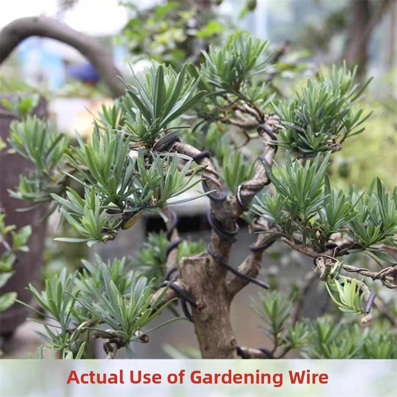 1.5MM盆栽ワイヤー アルミ盆栽トレーニングワイヤー モデ - Gardening Tools Diy のレビューと価格
