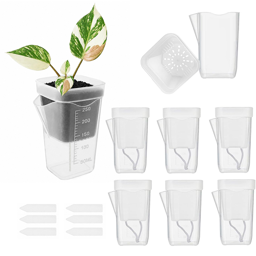 12/24個入り自動給水多肉植物鉢 ガーデニングツールキット - Gardening Tools Kit For Home Garden のレビューと価格