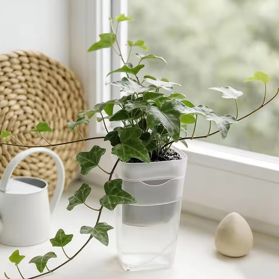 12/24個入り自動給水多肉植物鉢 ガーデニングツールキット - Gardening Tools Kit For Home Garden のレビューと価格