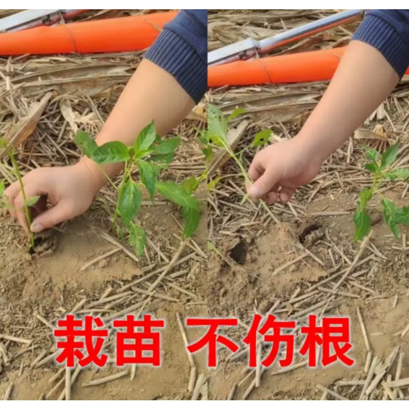 農業用苗移植機、トマトやピーマンの苗植え用園芸植栽ツール - Fertilizer Dispenser のレビューと価格
