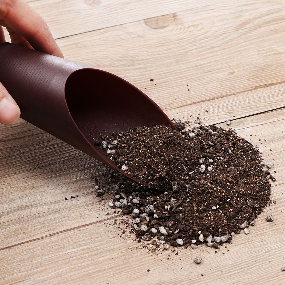 プラスチック製の庭の手入れ用の芝生の形をしたポーチ,植物が付 - Gardening Tools Brands のレビューと価格